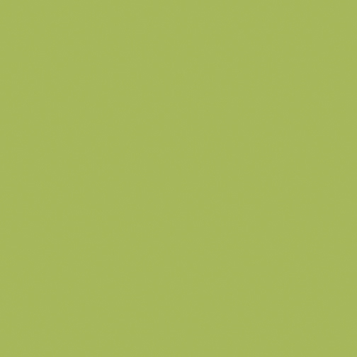 Dakota Celebration Solids Celery