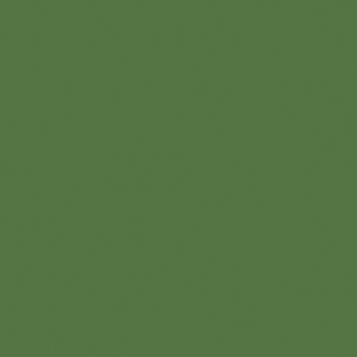 Dakota Celebration Solids Shamrock