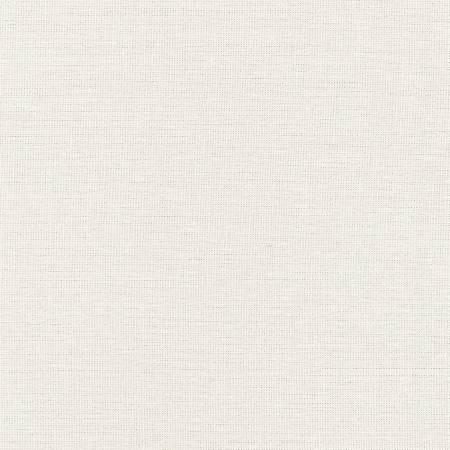 Essex yarn dyed Metallic Vintage White