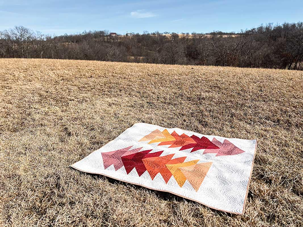 Cozy Quilts Book