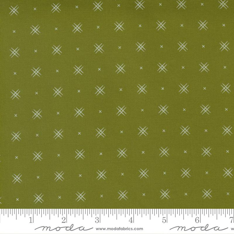 Beyond Bella Avocado 16740 277