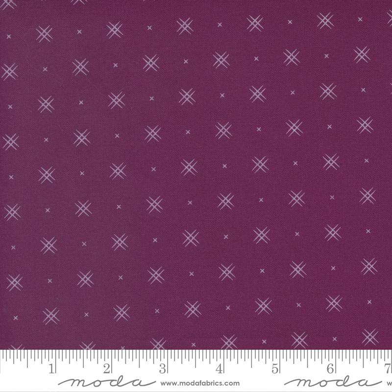 Beyond Bella Boysenberry 16740 217