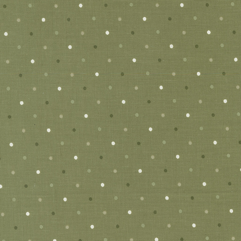 Magic Dot Fern