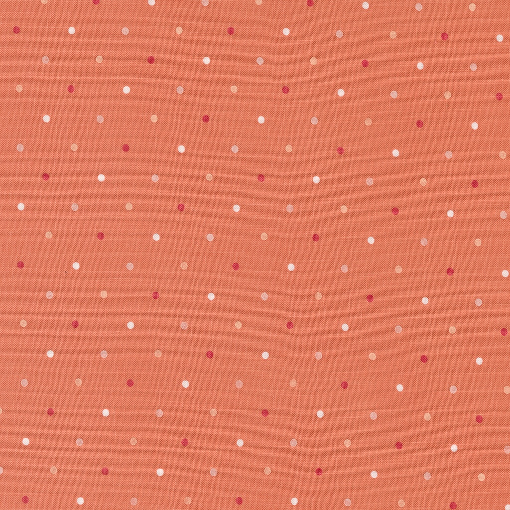 Magic Dot Coral