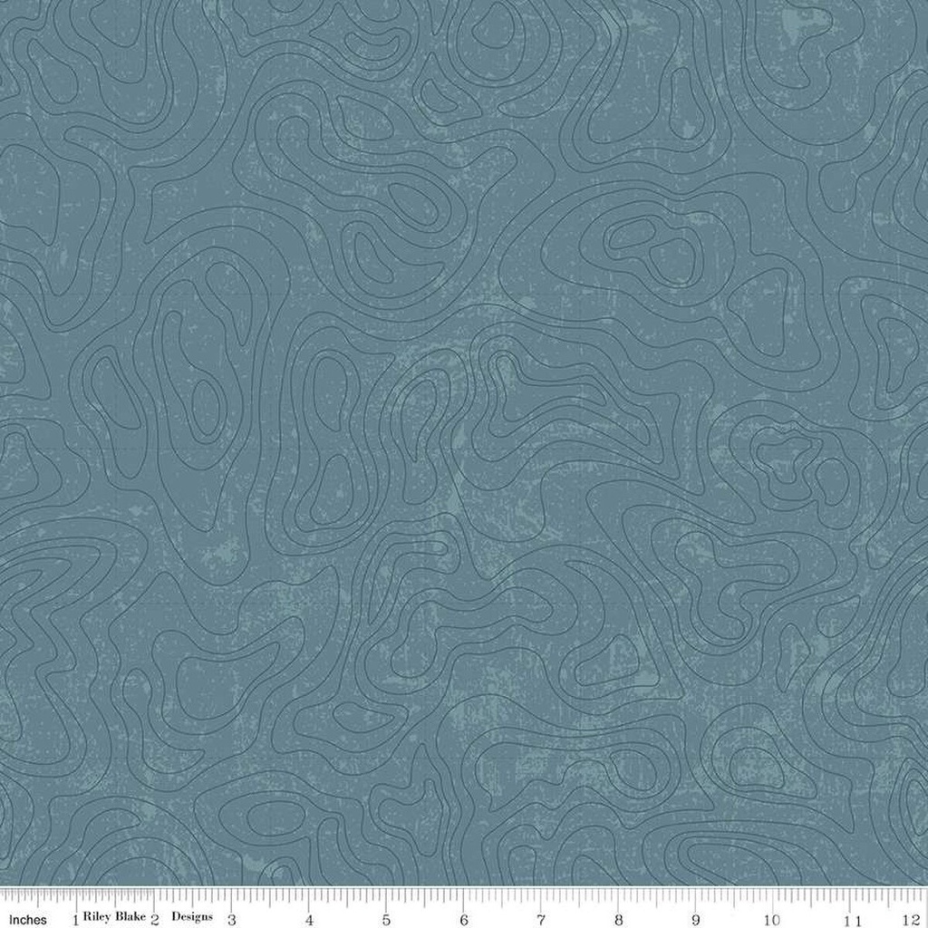 National Parks Topographic Blue