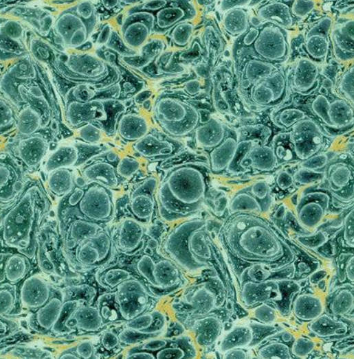 Teal Palette Marble