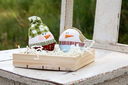 Emmitt & Ivy Ornament Pattern