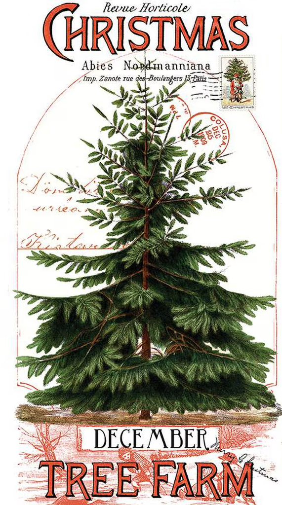 Classic Christmas Botanical Panel