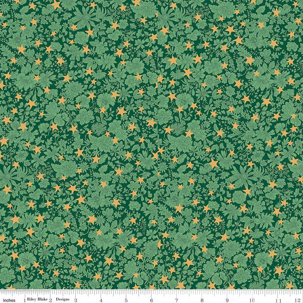 Festive Greetings Emily Star