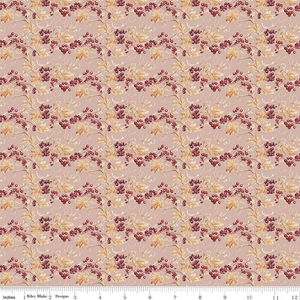 Evening on the Prairie CD16742 Blush