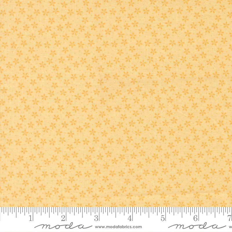 Pastel Prairie 31783 12