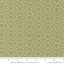 Pastel Prairie 31783 22