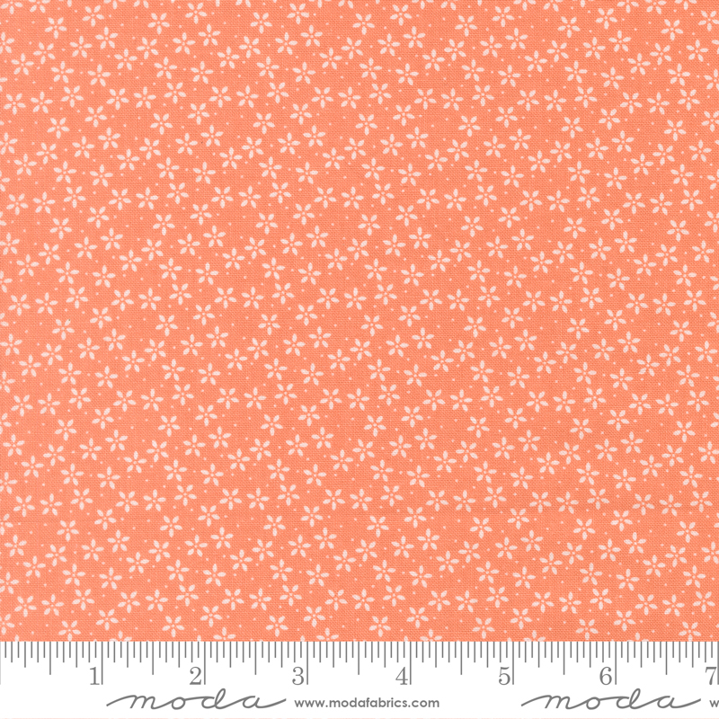 Pastel Prairie 31783 33