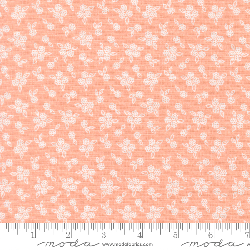 Pastel Prairie 31788 17