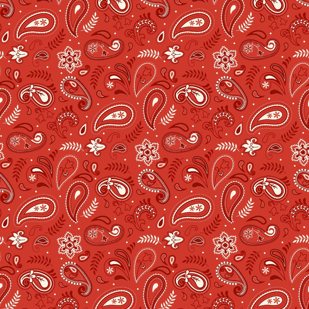 Stripes and Stars Paisley Red