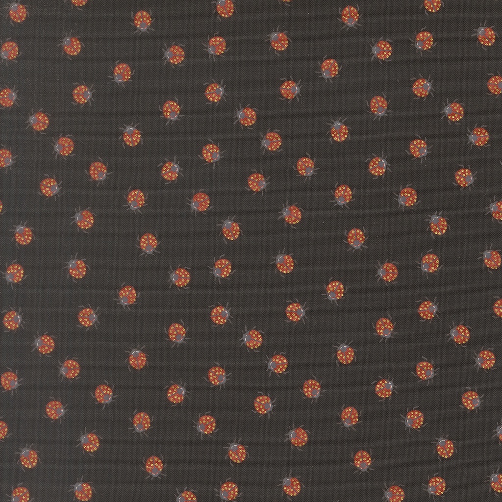 Ladybug Whimsy 48446 18