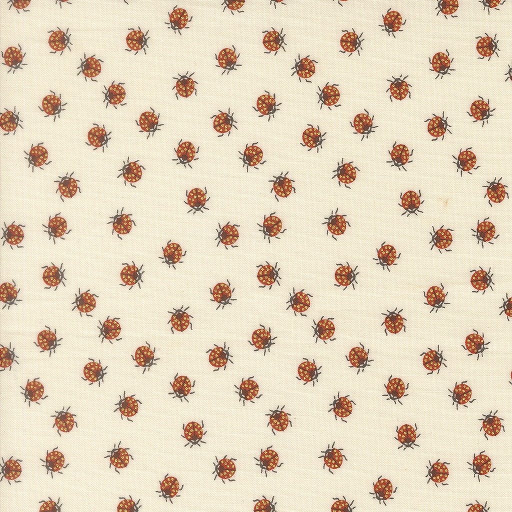 Ladybug Whimsy 48446 11