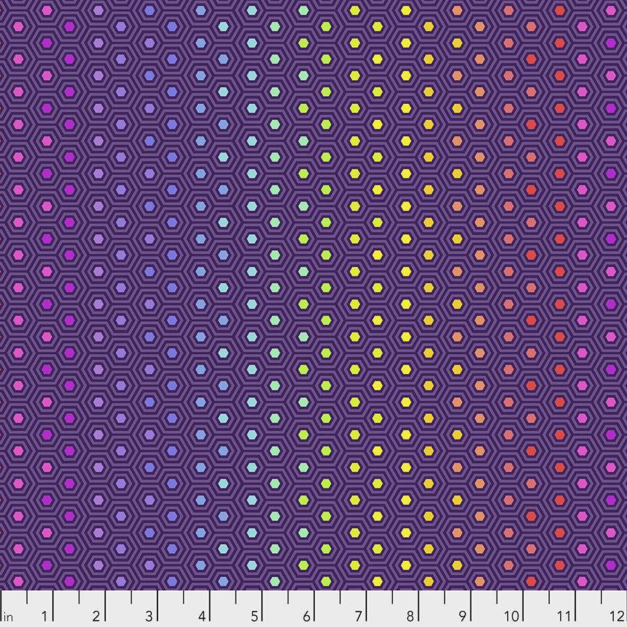 Tula Pink Hexy Rainbow Starling