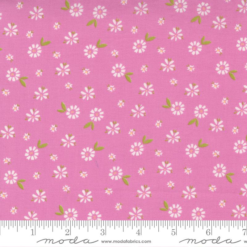 Seashore Drive Sweet Pea 37622 15