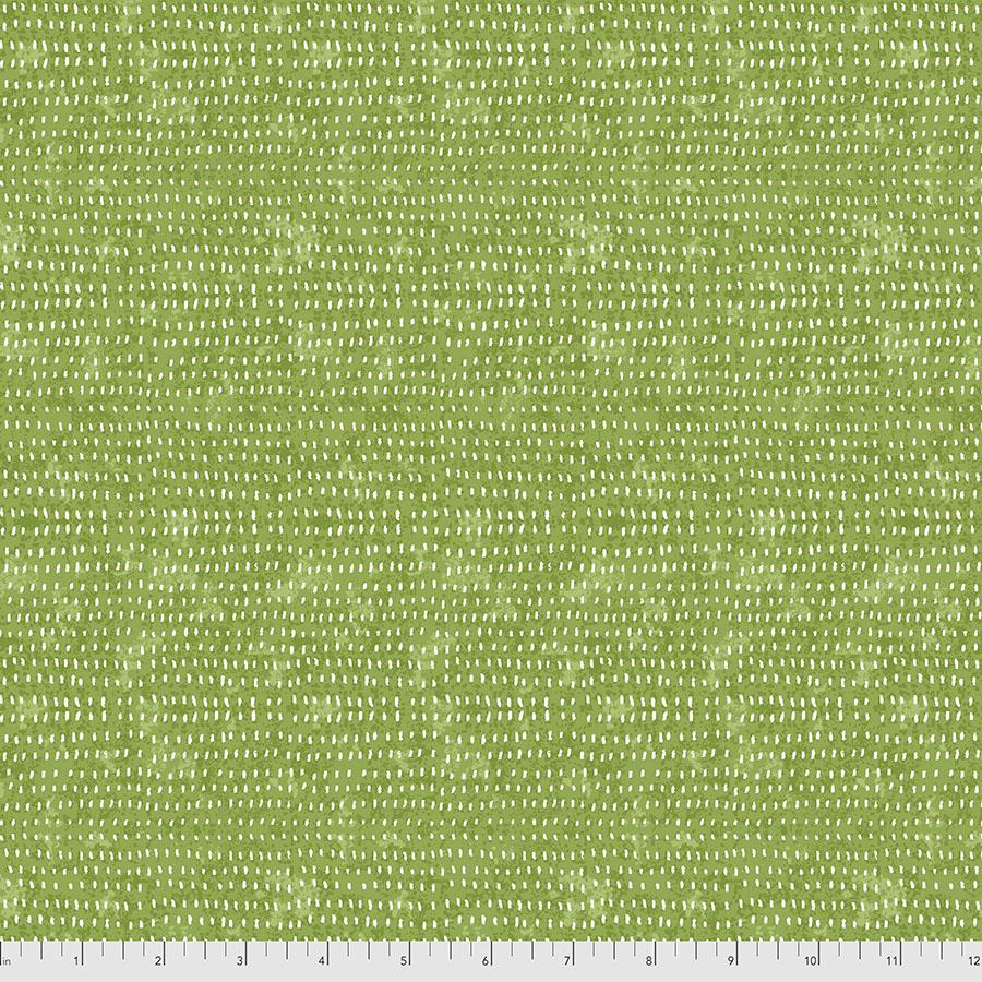 Seeds Fern