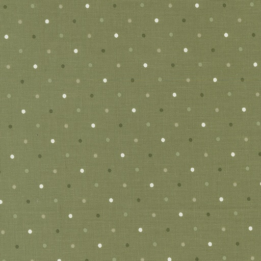 [5230 19] Magic Dot Fern
