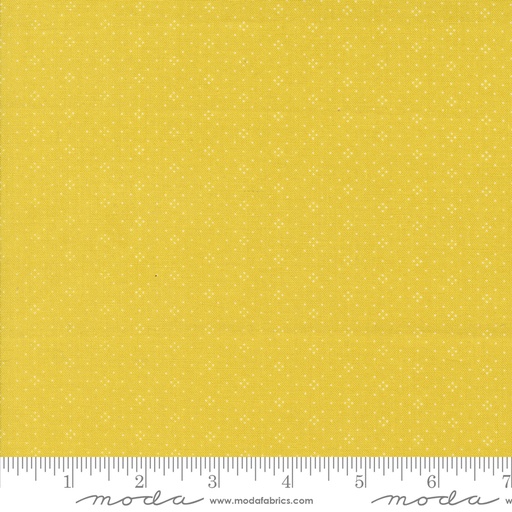 [20488111] Portofino Eyelet 20488 111