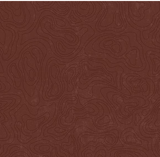 [C13293BROWN] National Parks Topographic Brown