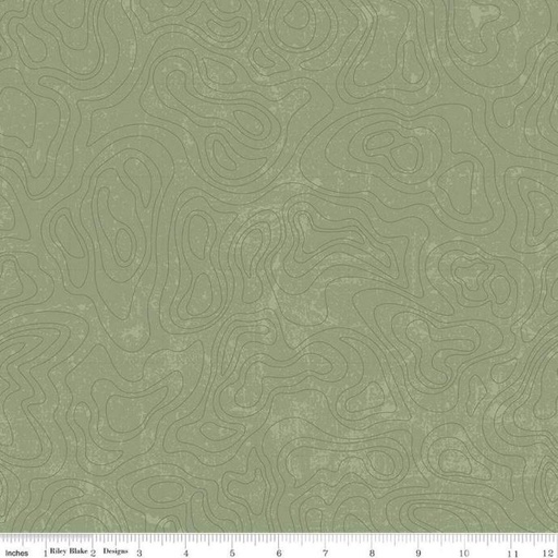 [C13293GREEN] National Parks Topographic Green