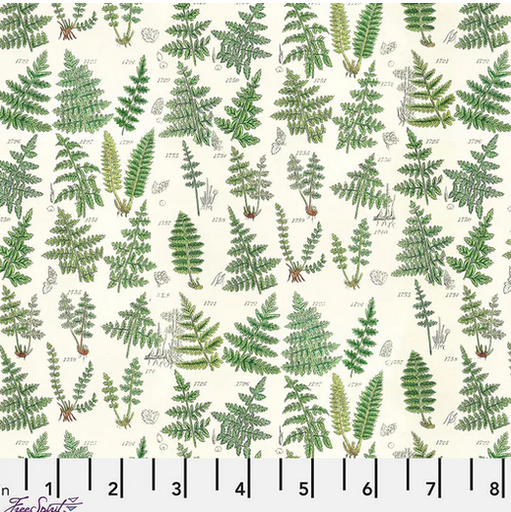 [PWTH265Green] Green Palette Ferns