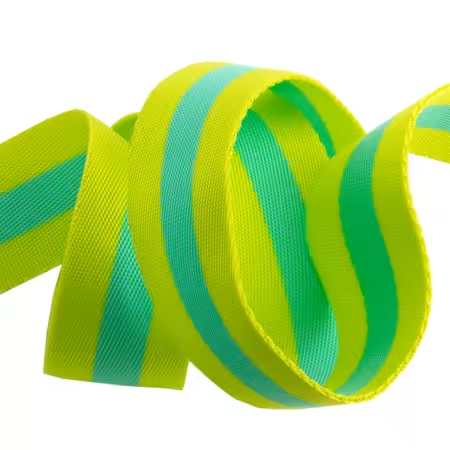 [TK-90/38MMCOL04] Tula Pink 2"  Webbing Lime/Turquoise