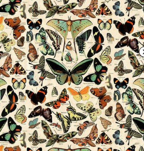 [PWTH276TEAL] Teal Palette Butterflies