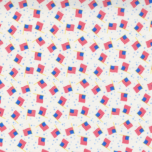 [20763 11] Holiday Americana 20763 11