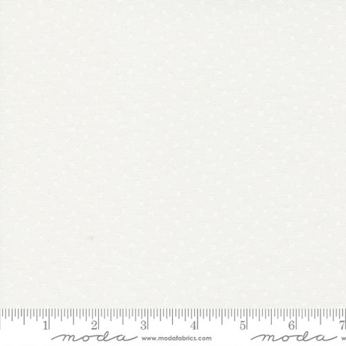 [291611] Coriander Seeds 29146 11