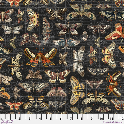 [PWTH333.HALLOWEEN] Seasonal Palette Halloween Moth Study