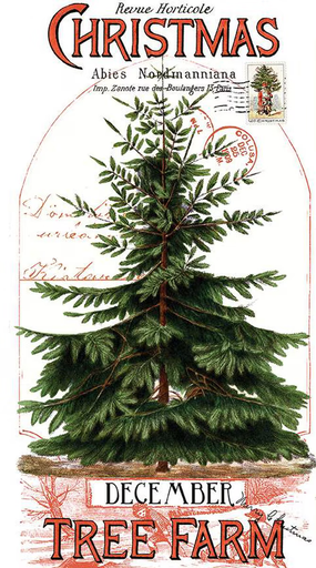 [PD16280] Classic Christmas Botanical Panel