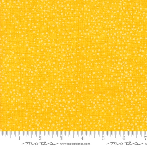 [48715227] Dotty Thatched Sunshine 48715 227
