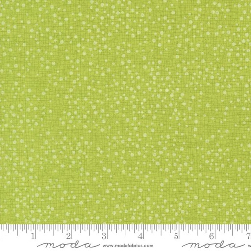 [48715214] Dotty Thatched Lime 48715 214