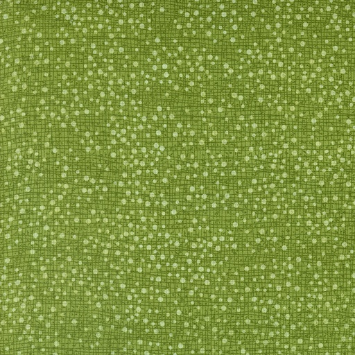 [48715197] Dotty Thatched Grass 48715 197