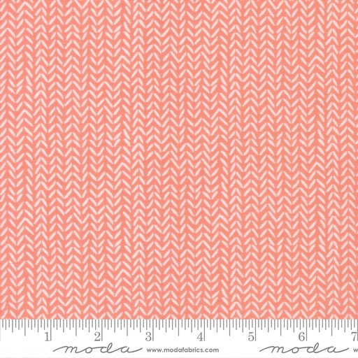 [5570613] Lucky 55706 13