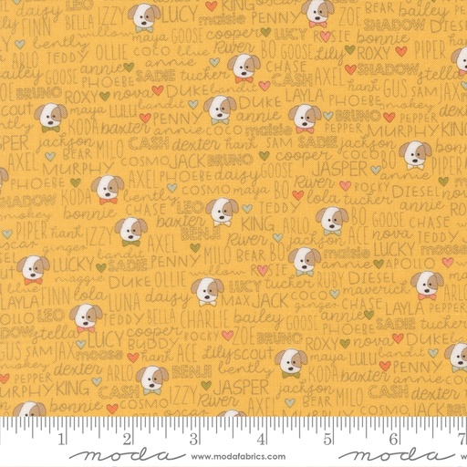 [5570214] Lucky 55702 14