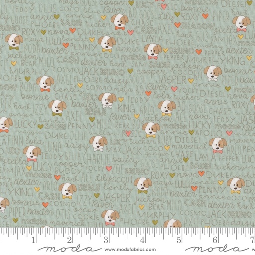 [5570212] Lucky 55702 12