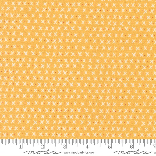 [5570524] Lucky 55705 24