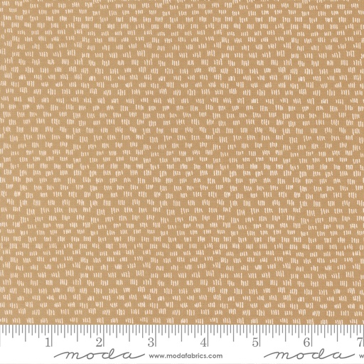 [5570417] Lucky 55704 17