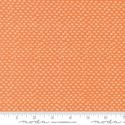 [5570415] Lucky 55704 15