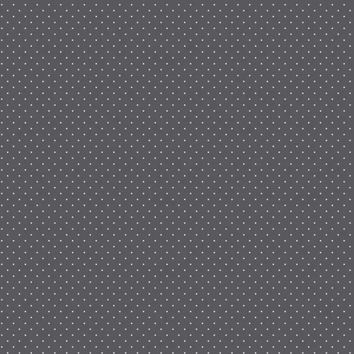 [PWTP185.CARBON] Tula Pink True Colors Tiny Dots Carbon