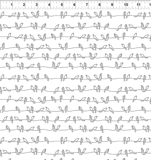 Flock Together Birds on Wire