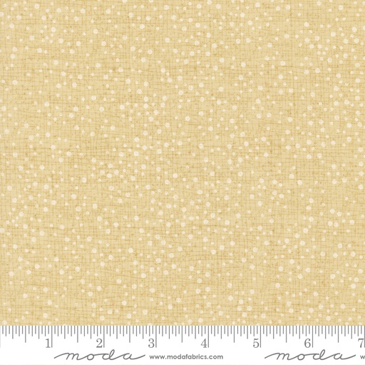 [48715228] Dotty Thatched Champagne 48715 228