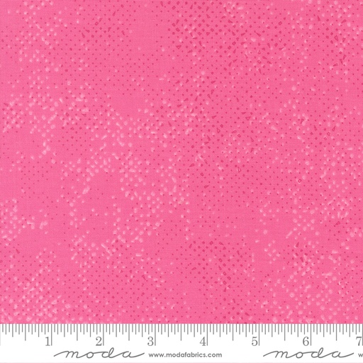 [1660253] Spotted Hibiscus 1660 253