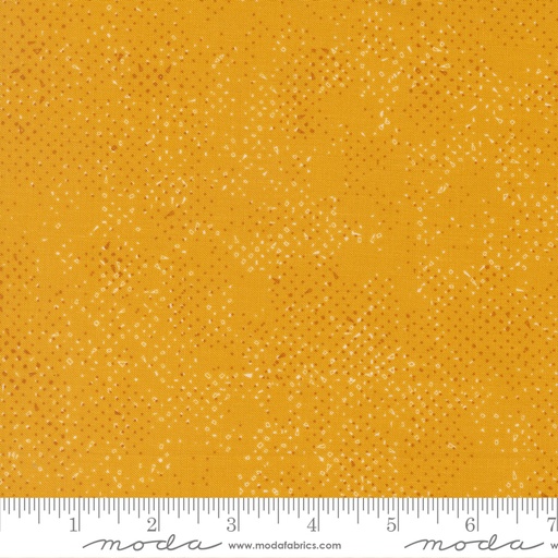 [1660254] Spotted Sunbeam 1660 254