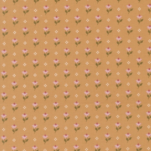 [525216] Wild Honey 5252 16